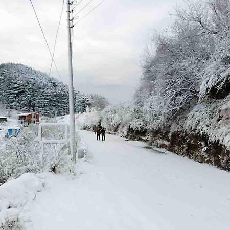 La Riqueza Dhanolti View # Near To Eco Park & Surkanda Devi Temple # Mountain View Rooms With Balcony # Big Parking # Customer Favourite Hotel 다나울티 외부 사진