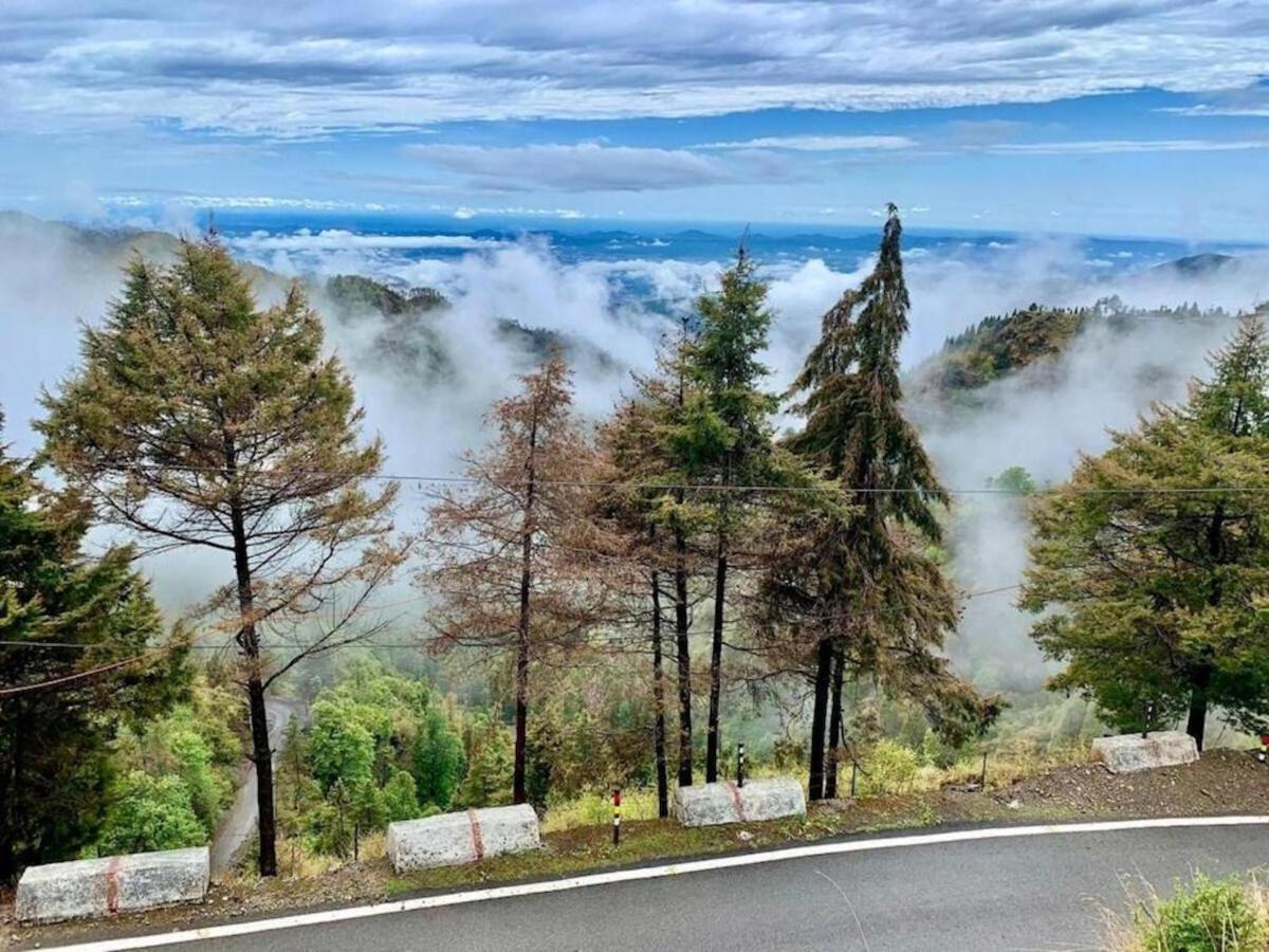 La Riqueza Dhanolti View # Near To Eco Park & Surkanda Devi Temple # Mountain View Rooms With Balcony # Big Parking # Customer Favourite Hotel 다나울티 외부 사진
