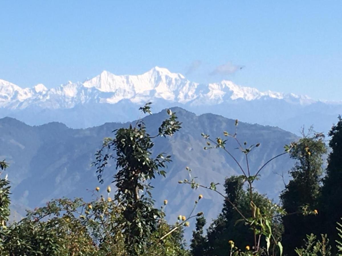 La Riqueza Dhanolti View # Near To Eco Park & Surkanda Devi Temple # Mountain View Rooms With Balcony # Big Parking # Customer Favourite Hotel 다나울티 외부 사진